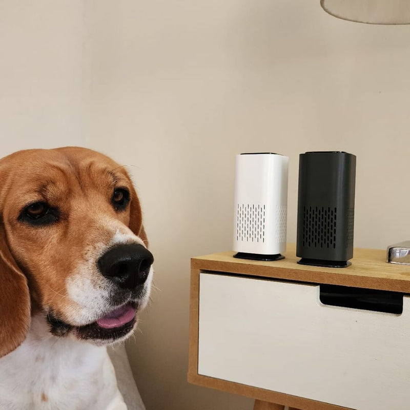 Air Purifier For Pet Dander