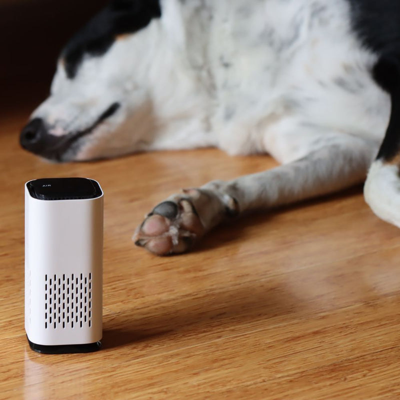 Air Purifier For Pet Odours